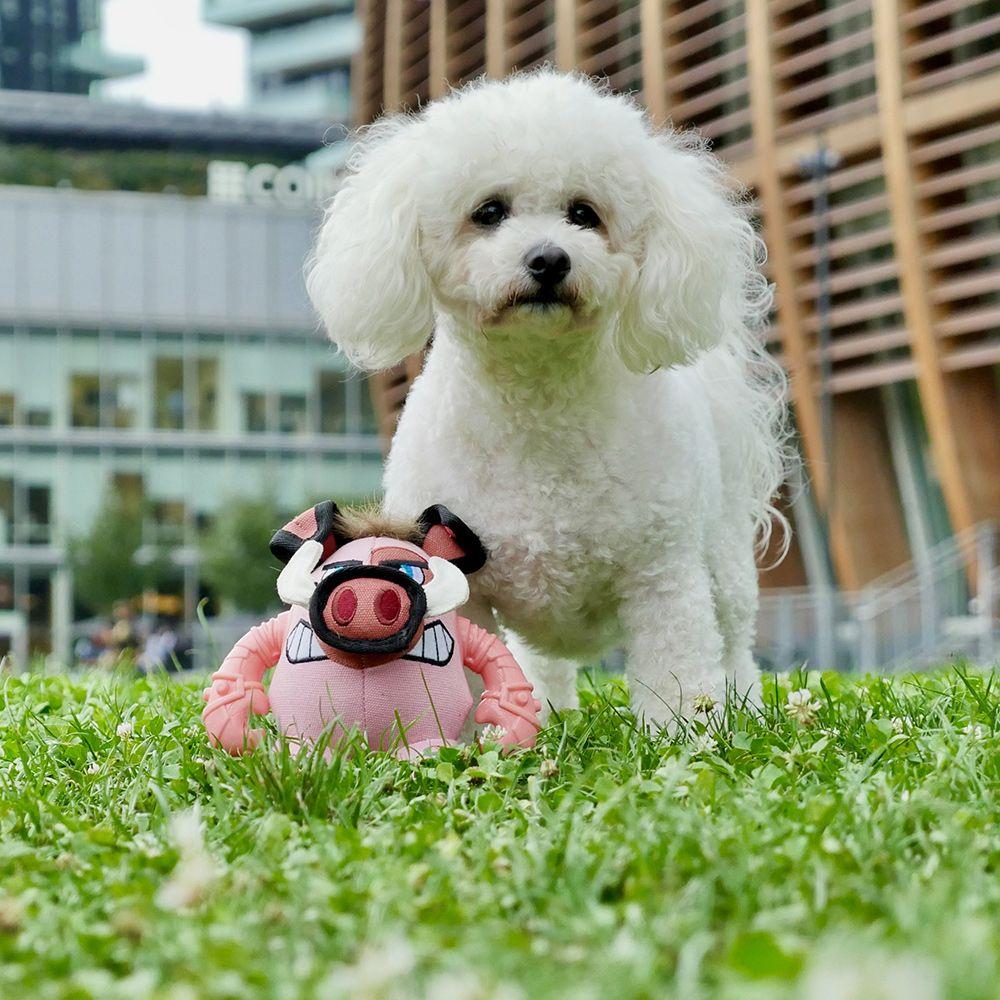 Игрушка для собак Croci Warriors Pigo с пищалкой 18x12x12 см (1684410581) - фото 2