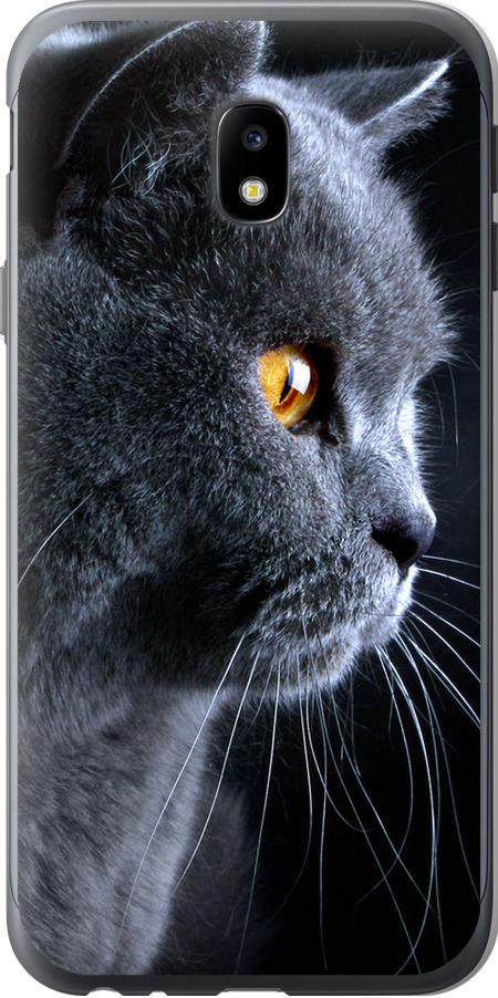 Чехол на Samsung Galaxy J3 (2017) Красивый кот (3038u-650-42517)
