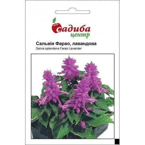Насіння квітів Садиба Центр Сальвія Фарао 0,1 г (SZ-0990)