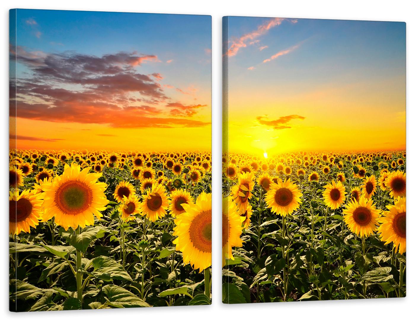 Картина модульна у вітальню/спальню Соняшник 50х70 см (TLV-2_073)