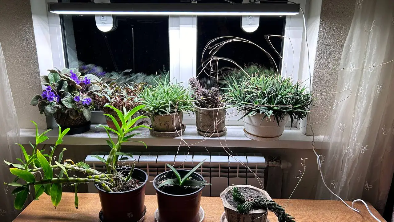 Фитосветильник Flora Glow 56 Вт (056320) - фото 2