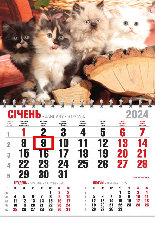 Календар 2024 офісний Економ Муркотіння чотирьох