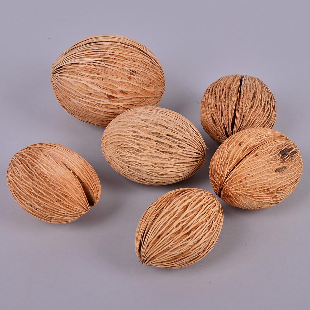 Сушеные плоды орехов экзотик 6 шт. (4582)