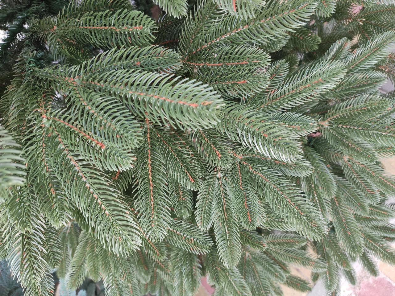 Ялинка штучна лита Преміум зелена пишна 250 см з підставкою в коробці (23500712) - фото 3 Ялинка штучна лита Преміум зелена пишна 250 см з підставкою в коробці (23500712) - фото 3