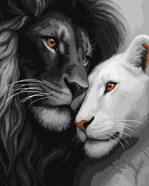 Картина по номерам Ideyka Влюбленные львы 40x50 см (KHO6831)