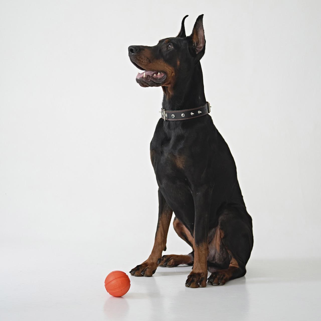 Іграшка для собак великих порід Liker 9 М'ячик (6295) - фото 7