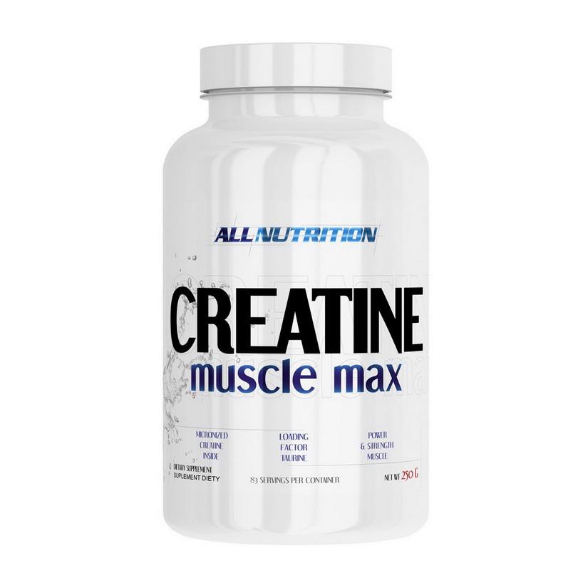 Креатин моногидрат AllNutrition Creatine Muscle Max 250 г Без вкуса (08039-01) Креатин моногидрат AllNutrition Creatine Muscle Max 250 г Без вкуса (08039-01)