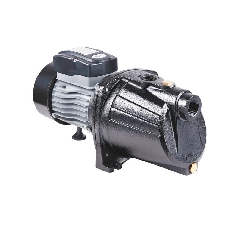 Насос самовсасывающий центробежный Thermo Alliance D-JNWm-12M 0,92 кВт (FRRS00046815)