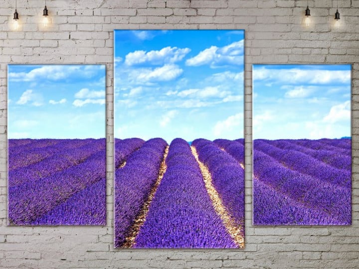 Картина модульная 3 части ArtStar 120х180 см ADNA0080