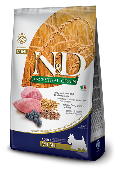 Корм сухой для собак N&D Low Grain Dog Lamb&Blueberry Mini низкозерновой для мелких пород Ягненок/Черника 800 г (46972)