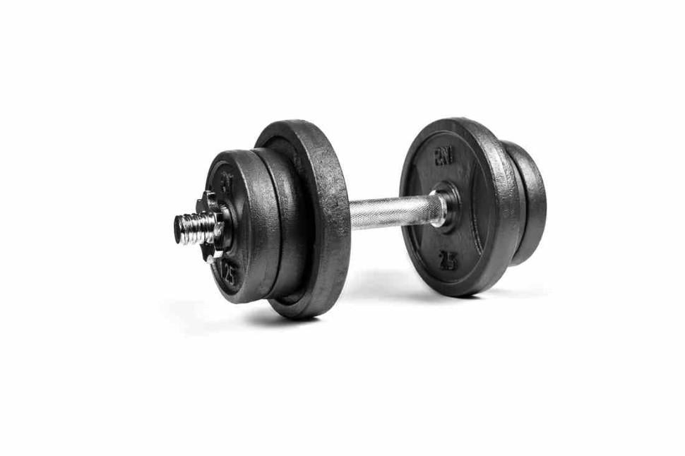 Гантель металлический наборный RN-Sport 11 кг (RN_QTR11)