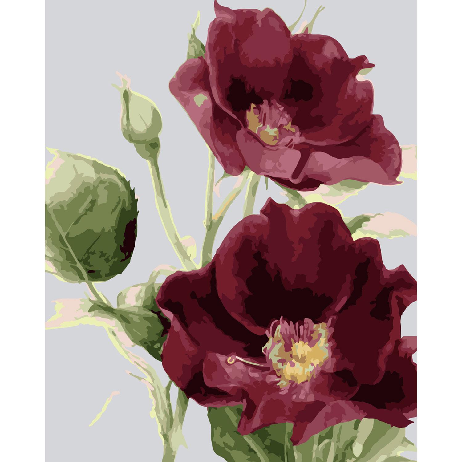 Картина по номерам Strateg Багровые маки 40х50 см (SY6034)