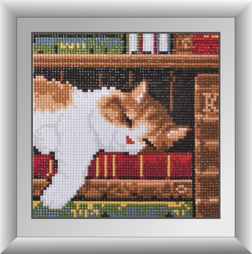 Алмазная мозаика Dream Art Котенок на книжной полке 17x17 см (DA.30363M)