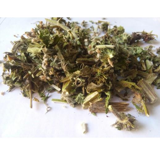 Сушеная трава пустырника Herbs Zaporoje 5 кг (С0121)
