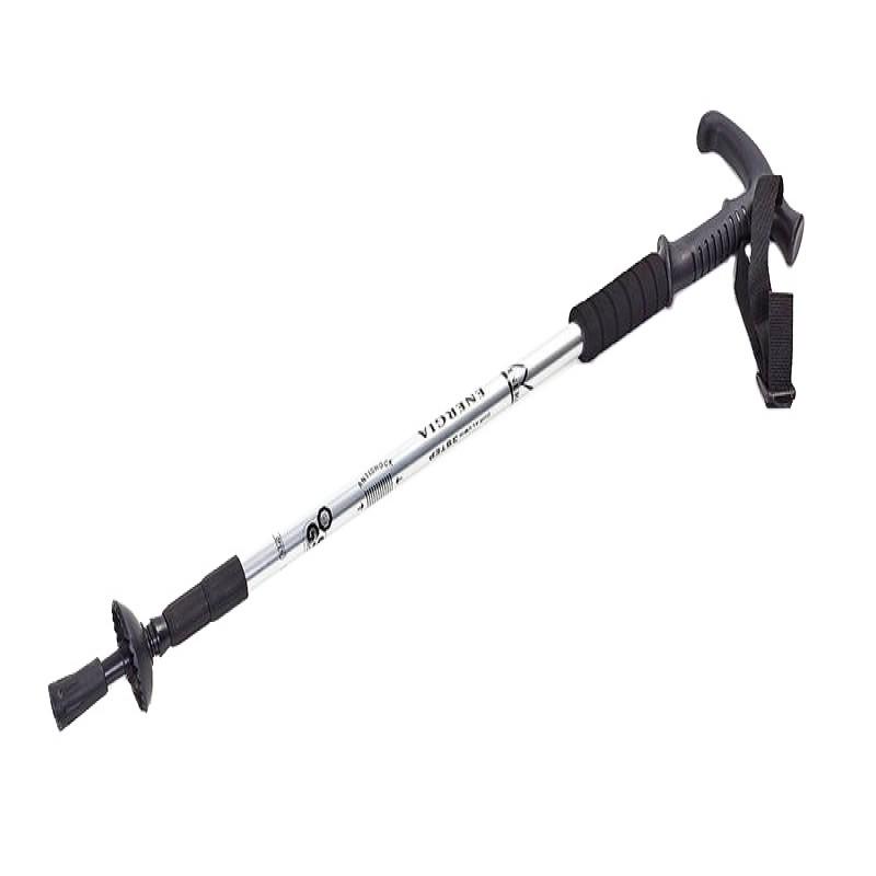 Палка для спортивной ходьбы Profi Серый (MS 2019)