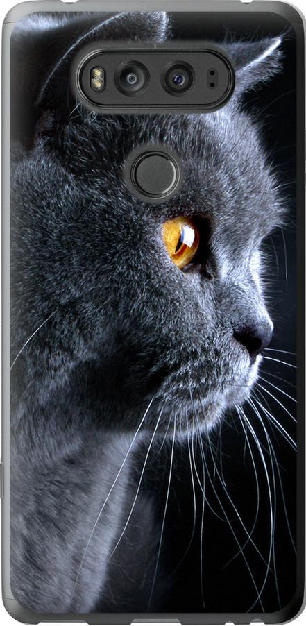 Чехол на LG V20 Красивый кот (3038u-787-42517)