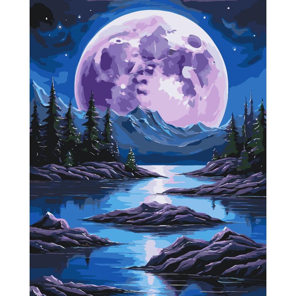 Картина по номерам ART CRAFT Ночная магия 40x50 см Разноцветный (PM-194-K-1267)