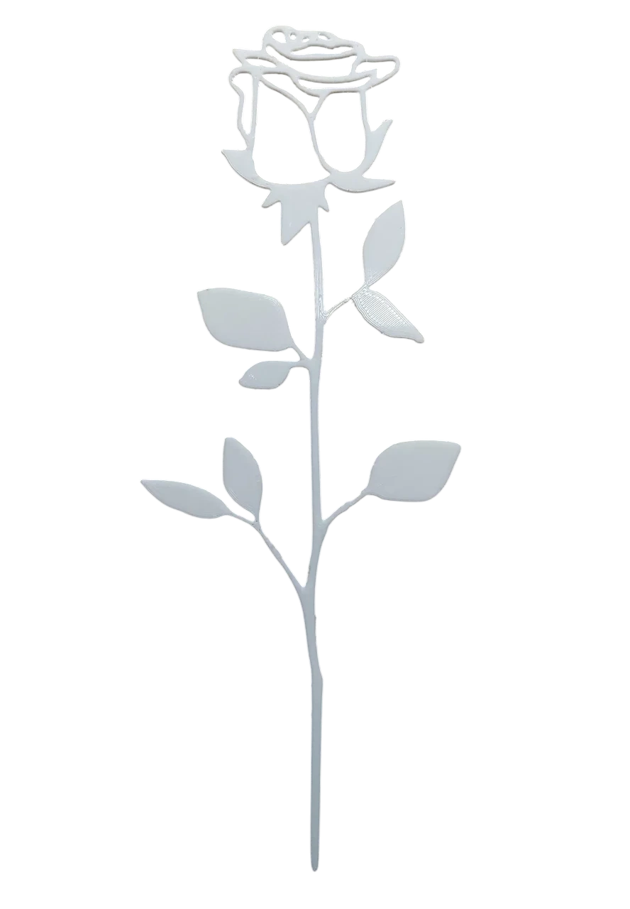 Троянда декоративна International Women’s Day/Valentine’s Day Rose 13 21 см