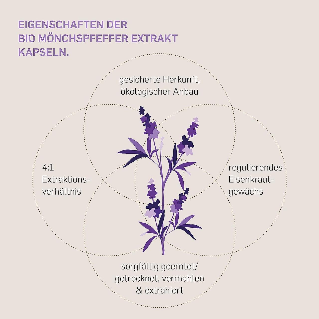 Витамины для иммунитета Kurkraft Витекс священный 10 мг 180 капс. (50091679) - фото 2 Витамины для иммунитета Kurkraft Витекс священный 10 мг 180 капс. (50091679) - фото 2