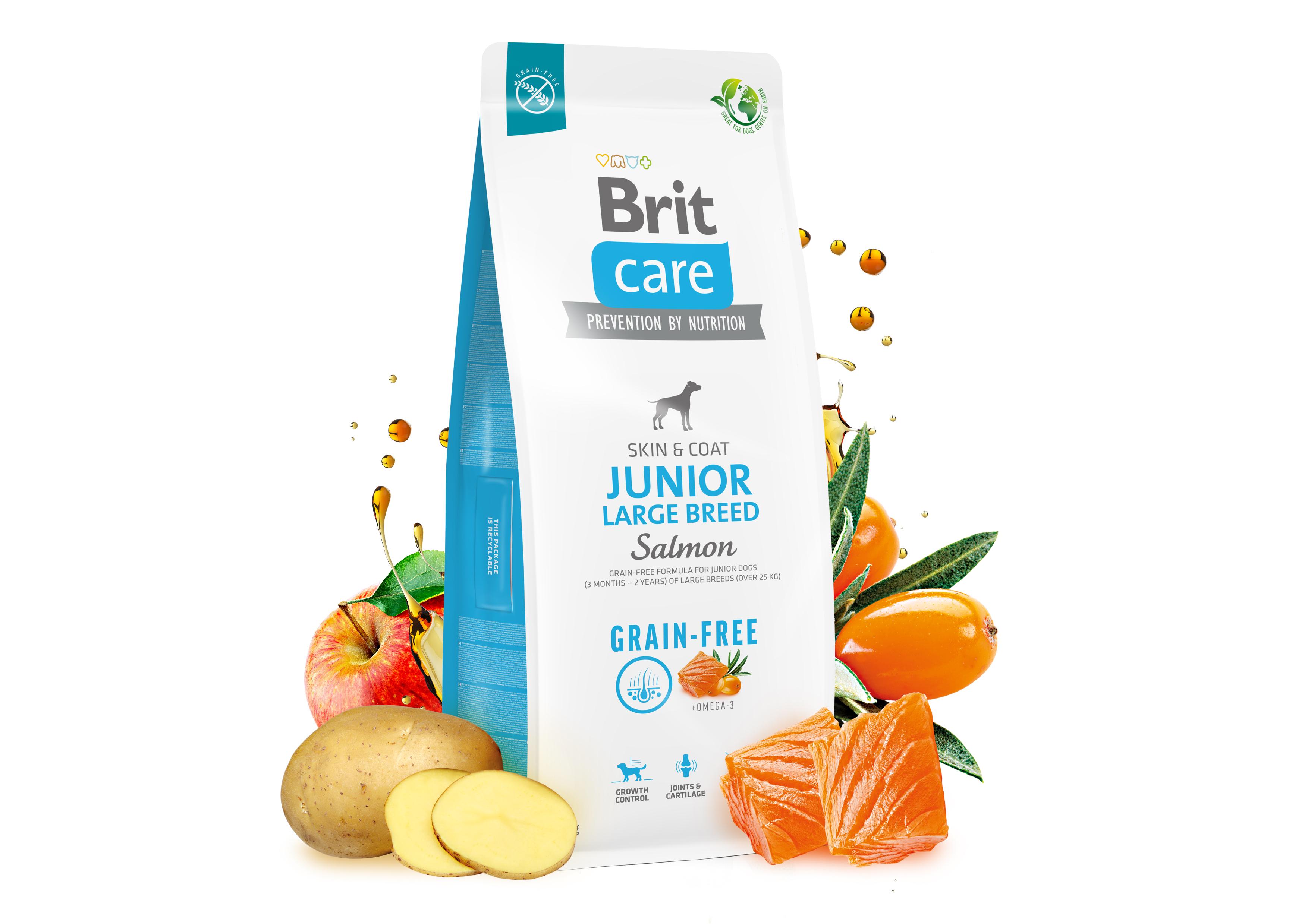 Корм для молодих собак великих порід Brit Care Dog Grain-free Junior Large Breed беззерновий з лососем 3 кг (172200) - фото 2