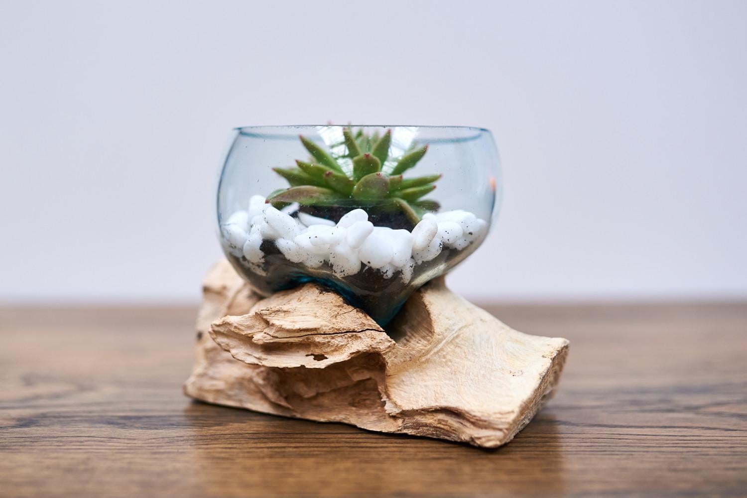 Ваза декоративна на світлому корені ручної роботи (AN-43)