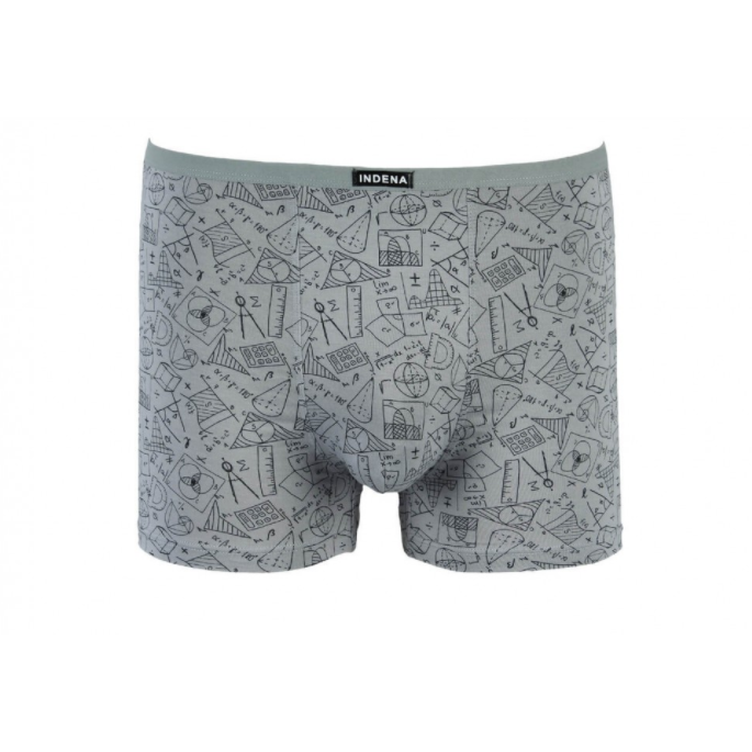 Мужские трусы INDENA Бамбук ХL Светло-серый (205333)