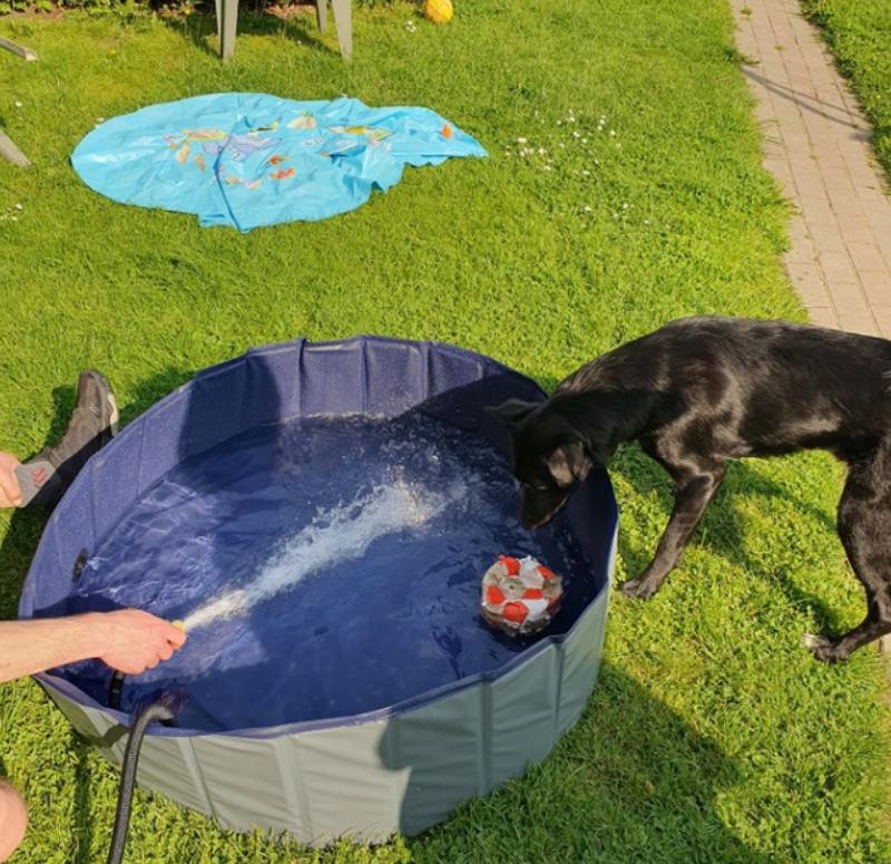 Бассейн манеж для собак складной Purlov 20929 со сливным клапаном и нескользящим дном 100x30 см - фото 5 Бассейн манеж для собак складной Purlov 20929 со сливным клапаном и нескользящим дном 100x30 см - фото 5