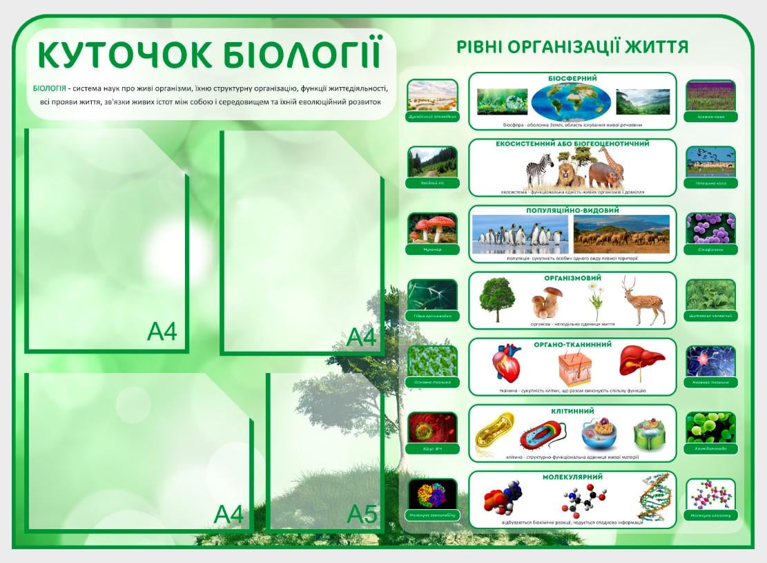 Стенд для учебных заведений "Куточок Біології" 1000х720 мм (КВ0013)