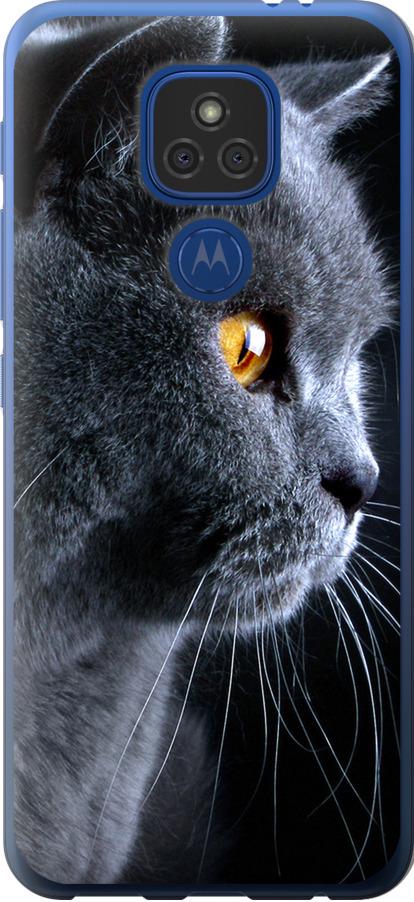 Чехол на Motorola E7 Plus Красивый кот (3038u-2107-42517) Чехол на Motorola E7 Plus Красивый кот (3038u-2107-42517)
