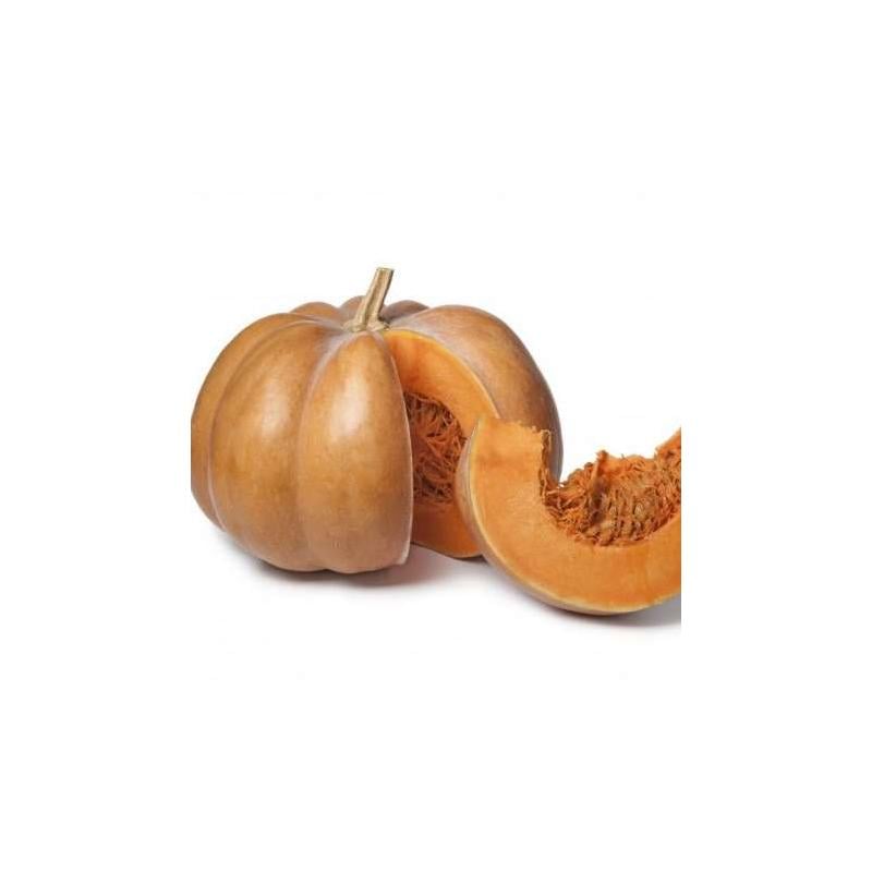 Гарбуз Clause MUSKAT DE PROVANS 100 г (2289792173.5) Гарбуз Clause MUSKAT DE PROVANS 100 г (2289792173.5)