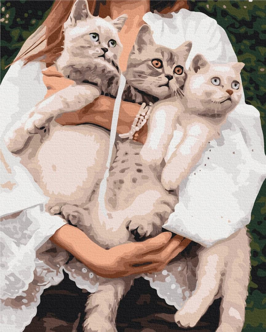 Картина за номерами Brushme Улюблені муркотики 48x60 см (BS52508L)