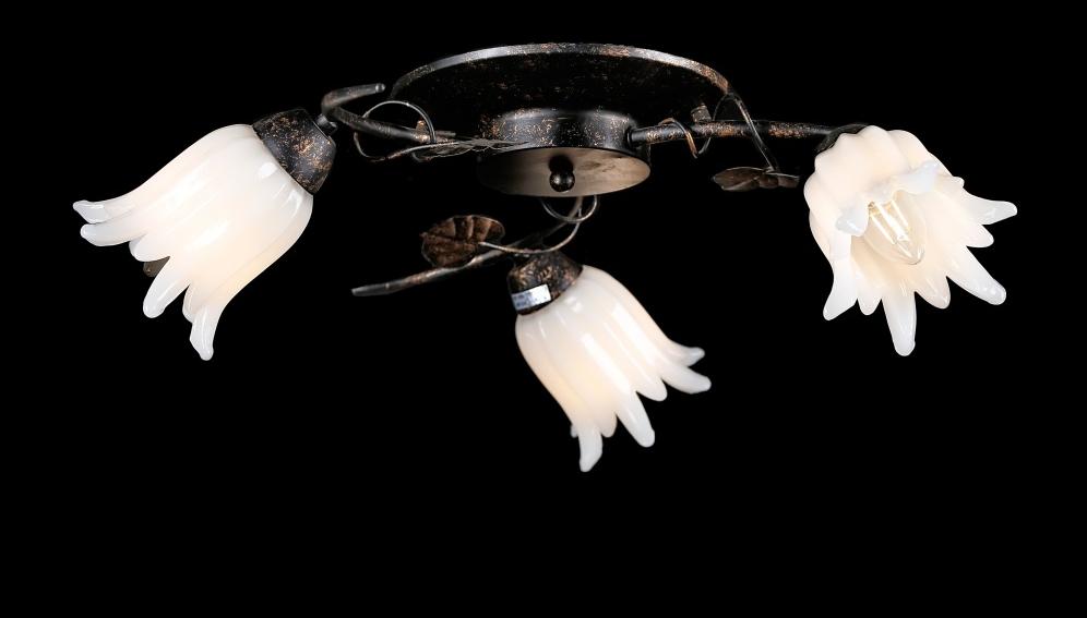 Люстра с плафонами Ray L90780C/3 (30191949)