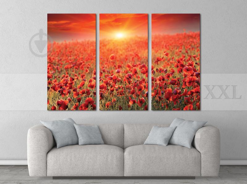 Модульна картина Poster-land Маки Світанок Art-65_XXL