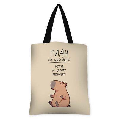 Сумка женская Presentville тканевая "План на цей день..." (693539051)