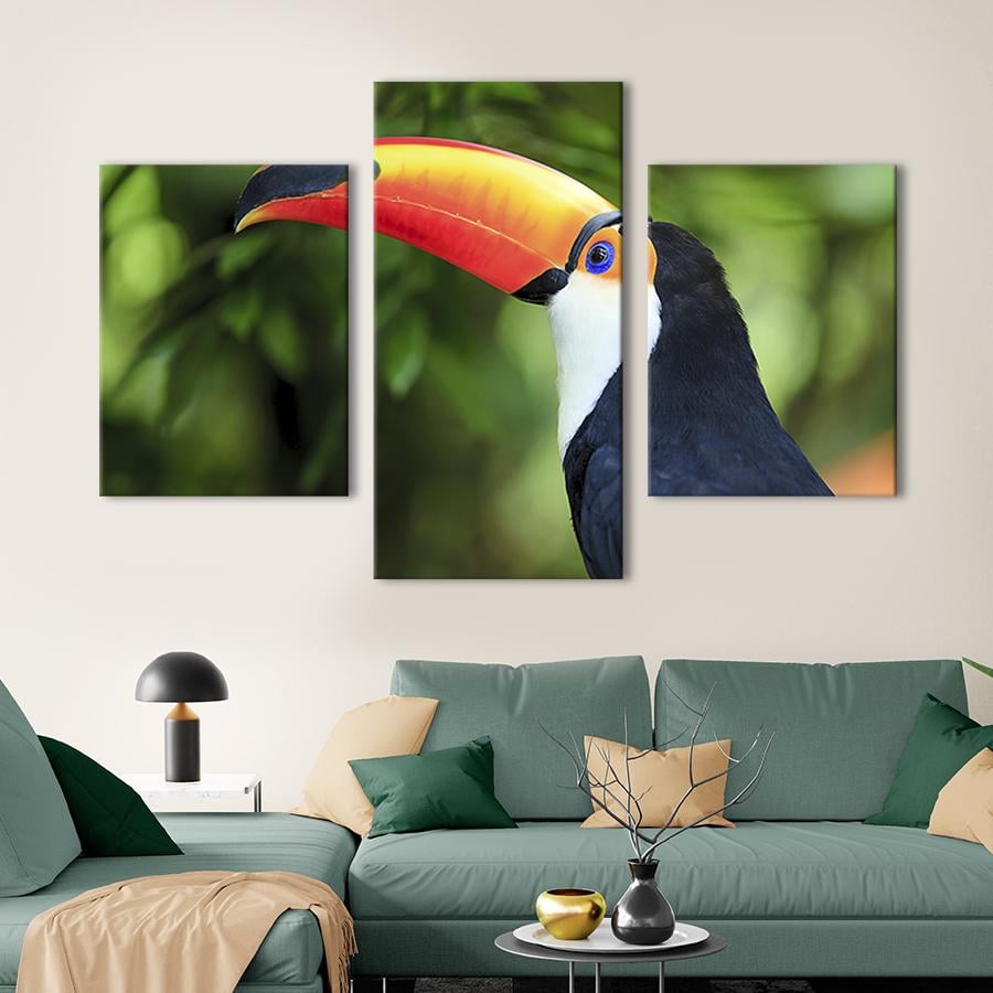 Модульная картина на холсте Триптих Тукан - птица с большим клювом 141x90 см (128-32)