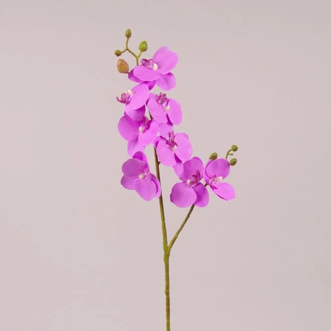 Цветок Фаленопсис из латекса Flora Фиолетовый (72615)