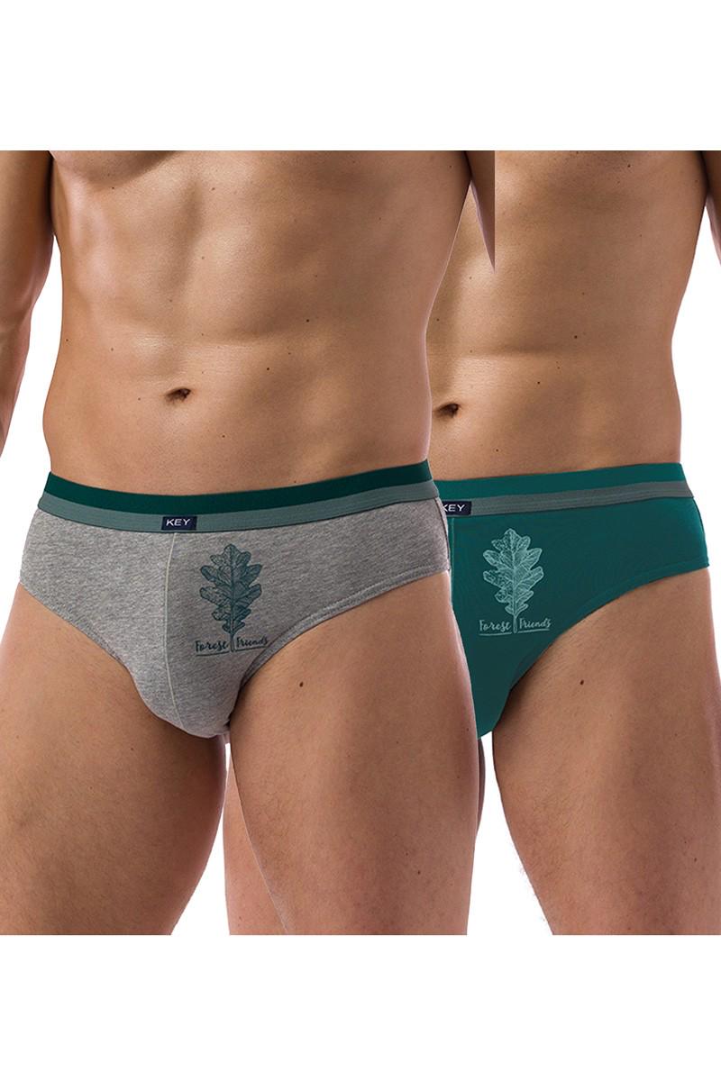Труси сліп Key р. 54/2XL Сірий/Зелений (75191)
