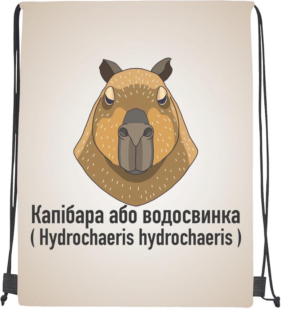 Мішок cпортивний Капібара або Водосвинка (mishok-sport-916744005-kapibara-abo-vodosvinka) Мішок cпортивний Капібара або Водосвинка (mishok-sport-916744005-kapibara-abo-vodosvinka)