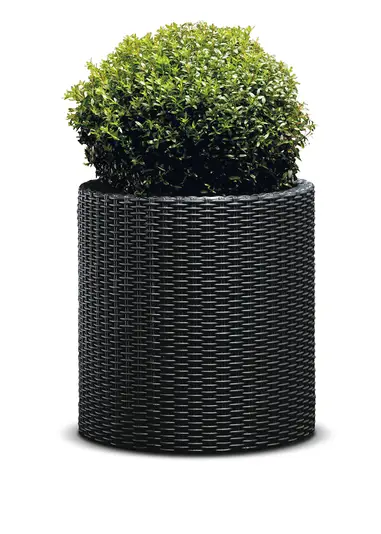 Вазон для уличных растений Keter Medium Cylinder Planter круглый 36х36 см (CNT00012162) - фото 2 Вазон для уличных растений Keter Medium Cylinder Planter круглый 36х36 см (CNT00012162) - фото 2