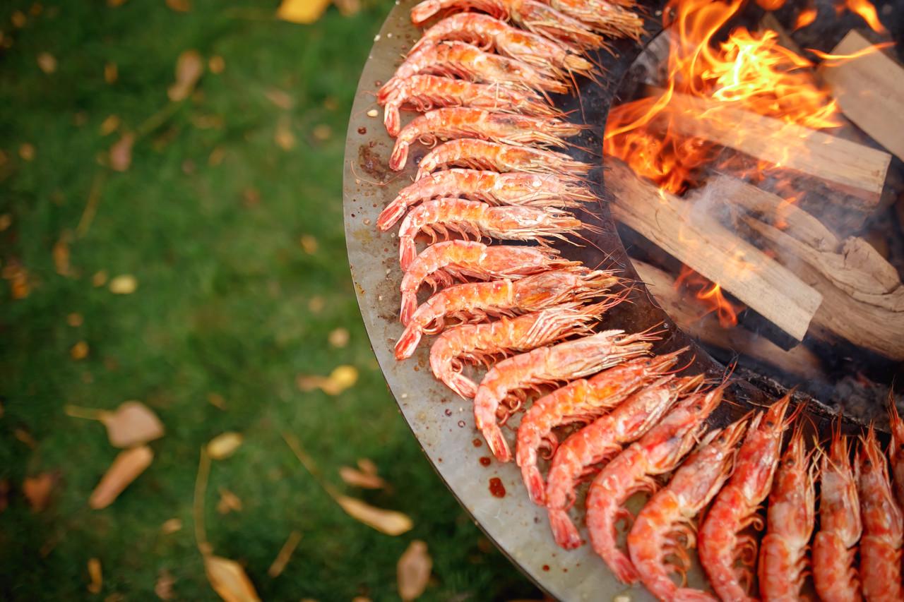 Гриль-мангал барбекю з відкритою тумбою Smoke House Holla Grill Open Black (600005) - фото 9