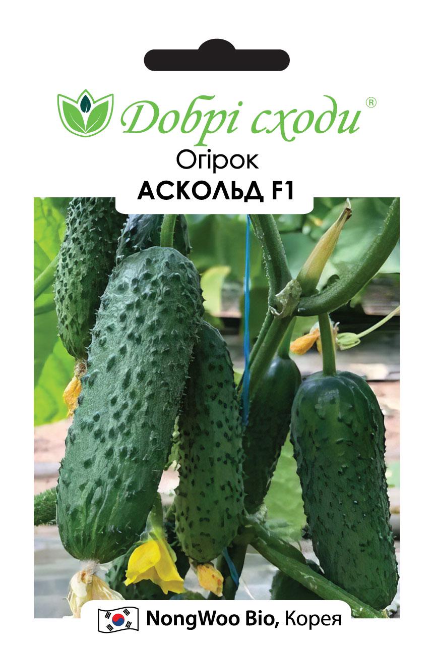 Семена огурец Аскольд F1 Добрі Сходи 10 шт. (01010146)