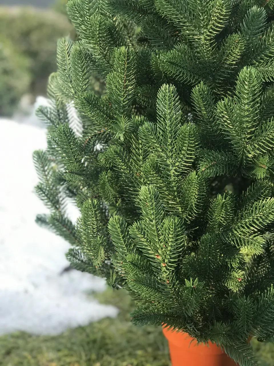 Елка литая HVOYA Traditional в горшке 90 см Зеленый (215N/90/G) - фото 8 Елка литая HVOYA Traditional в горшке 90 см Зеленый (215N/90/G) - фото 8