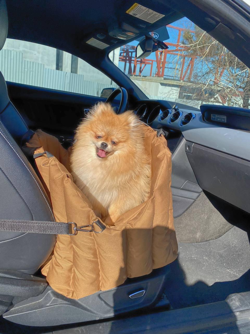 Сумка-переноска для домашних животных Incor 60х40х37 см Коричневый (604037-1) - фото 14 Сумка-переноска для домашних животных Incor 60х40х37 см Коричневый (604037-1) - фото 14