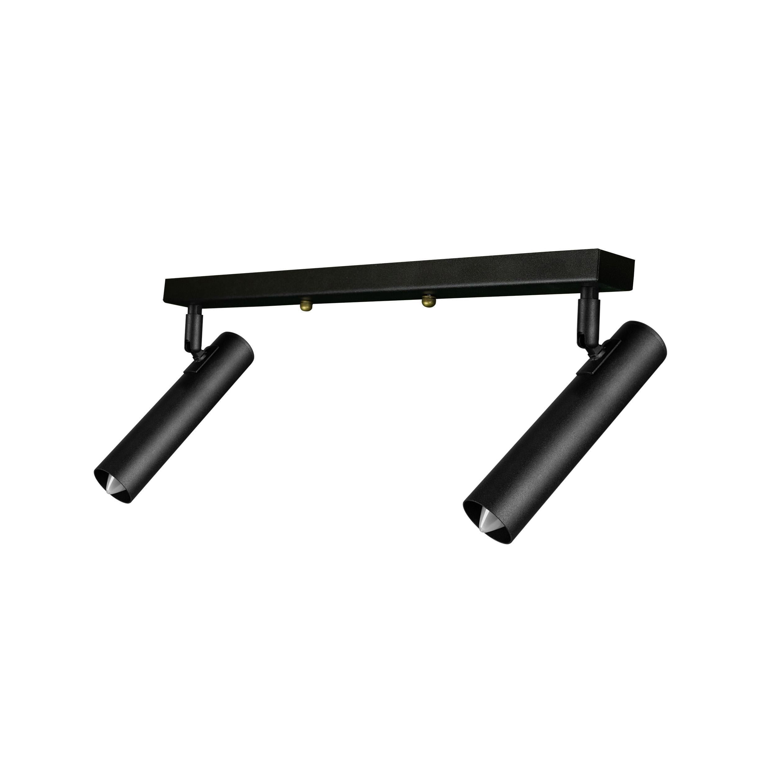 Светильник лофт MSK Electric с поворотными плафонами NL 1840-2