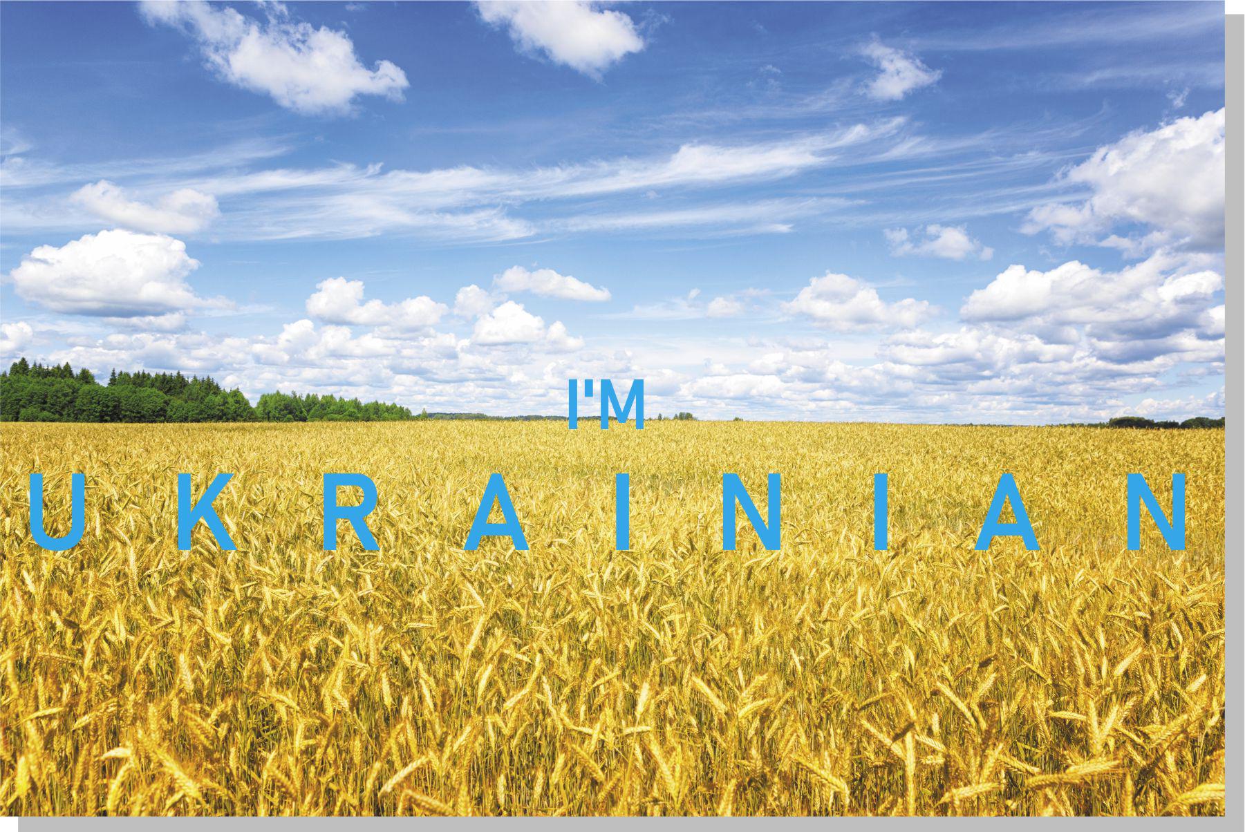 Картина патриотическая Apriori "I'am Ukrainian" 24 вид 30х40 см