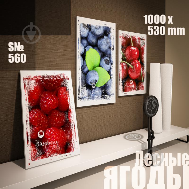 Модульная картина Декор Карпаты лесные ягоды 100х53см (s560)