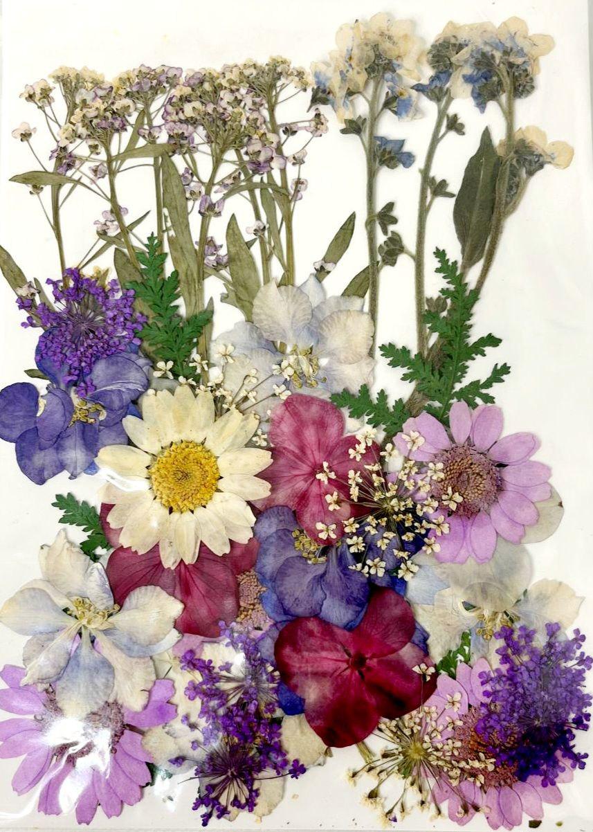 Сухоцвет набор №10 для творчества для ювелирных изделий из эпоксидной смолы 40 шт. (С-032/10) Сухоцвет набор №10 для творчества для ювелирных изделий из эпоксидной смолы 40 шт. (С-032/10)