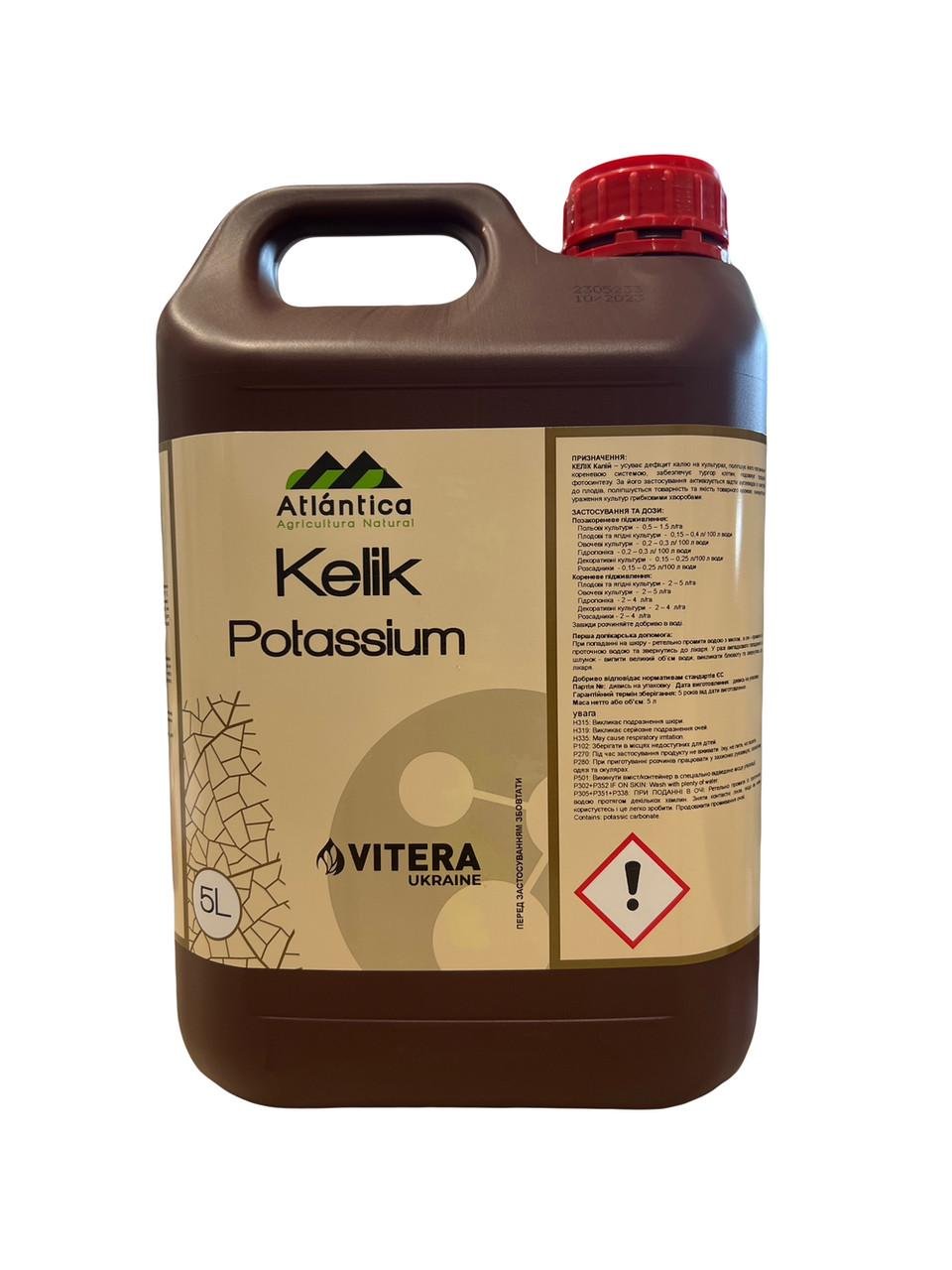 Удобрение высококонцентрированное хелатизированное калийное Vitera Atlantica Agricola Келик калий 5 л (2464710505)