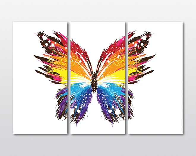 Модульная картина KIL Art Пёстрая бабочка из трех частей 78x48 см (M3_M_151)