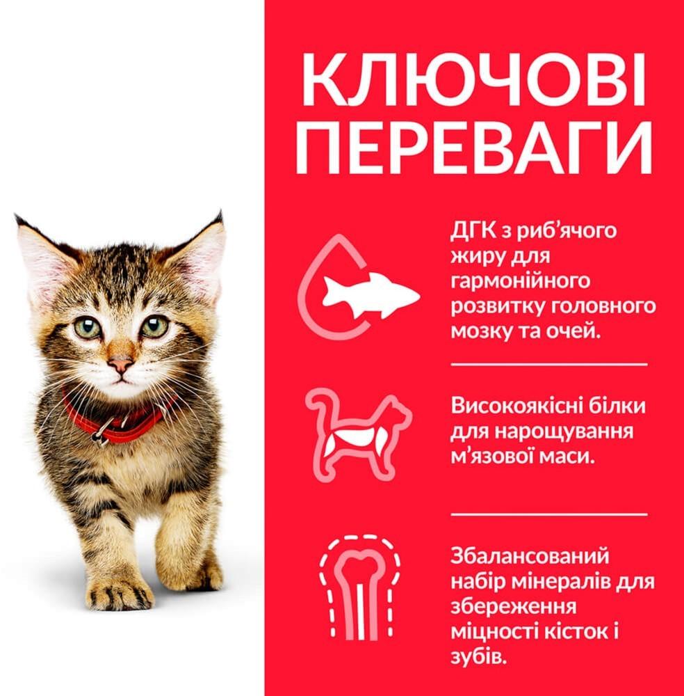 Сухий корм для кошенят Hill's SP Kitten Chicken з куркою 3 кг (052742024363) - фото 3